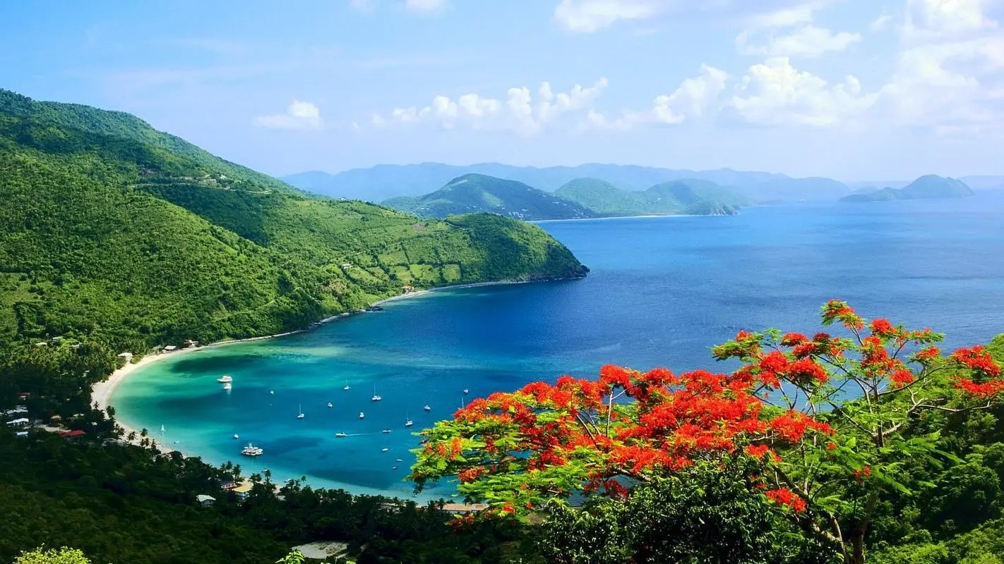 高效高质量稳定性
